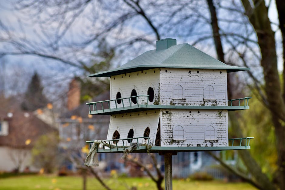  Vögel anlocken, indem man ein Vogelhaus baut
