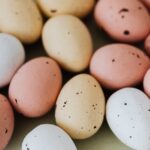 Vögel legen Eier in der Brutzeit