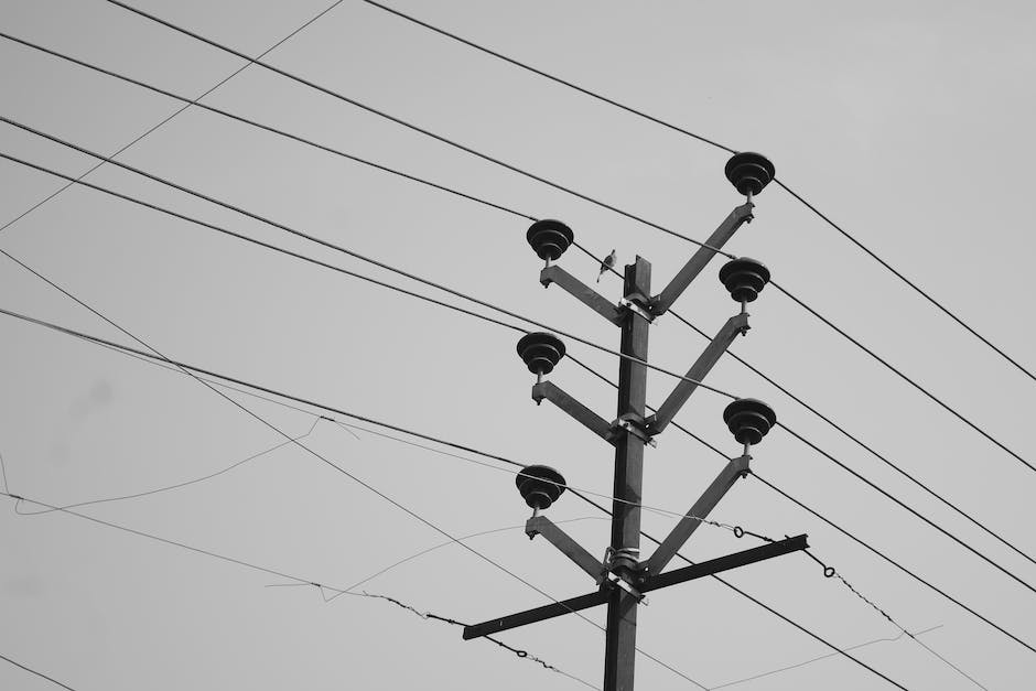 Vögel auf Stromleitungen: Warum sie keinen Stromschlag bekommen