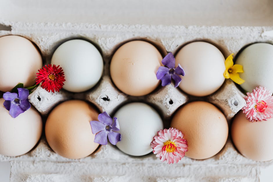 welcher Vogel legt türkise Eier?