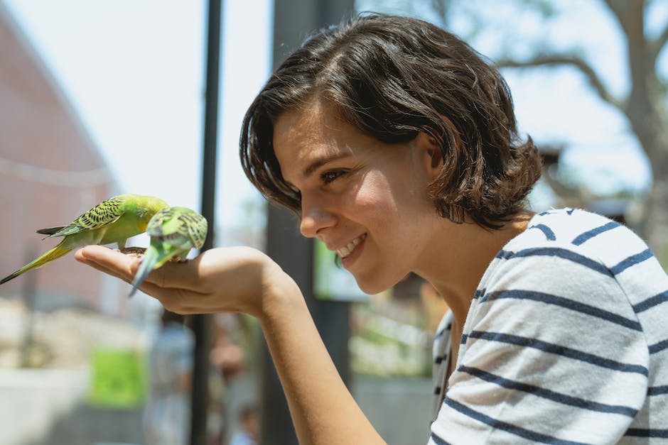 Vögel finden Futter mit Hilfe von Geruch und Sehvermögen